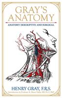   Gray's Anatomy