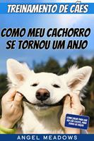   Treinamento de Cães: Como meu Cachorro se Tornou um Anjo