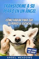   Transforme a su perro en un ángel