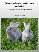   Cómo cuidar un conejo como mascota