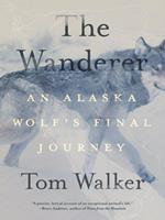   The Wanderer
