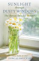  Sunlight Through Dusty Windows