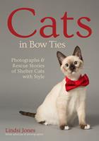   Cats in Bow Ties