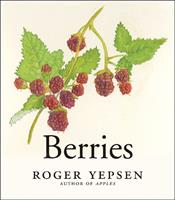   Berries