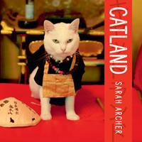   Catland