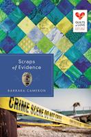   Scraps of Evidence