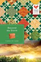   Beyond the Storm