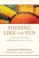   Shining Like the Sun