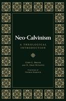   Neo-Calvinism