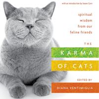   The Karma of Cats