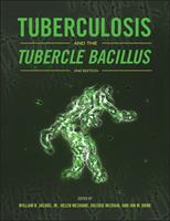   Tuberculosis and the Tubercle Bacillus