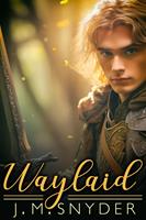   Waylaid