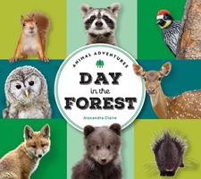   Animal Adventures: Day in the Forest