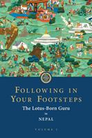 Following in Your Footsteps