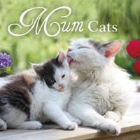  Mum Cats