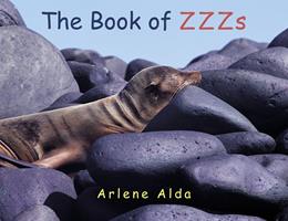   The Book of ZZZs