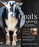   Goats Giving Birth