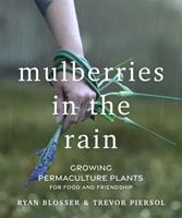   Mulberries in the Rain
