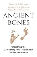   Ancient Bones