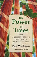   The Power of Trees