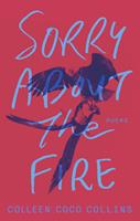   Sorry About the Fire