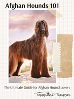   Afghan Hounds 101