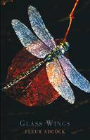   Glass Wings