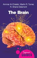  The Brain