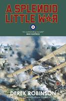   A Splendid Little War