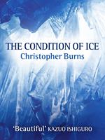   The Condition of Ice