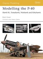   Modelling the P-40