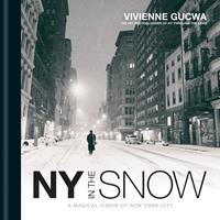  New York In The Snow