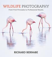   Wildlife Photography