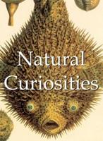   Natural Curiosities