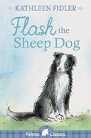   Flash the Sheep Dog