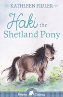   Haki the Shetland Pony