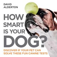   How Smart Is Your Dog?