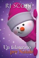   Un fidanzato per Natale