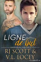   Ligne de but
