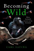   Becoming Wild