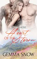   Heart of the Storm