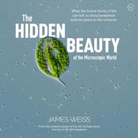   The Hidden Beauty of the Microscopic World