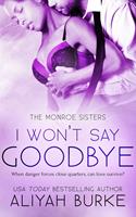   I Won't Say Goodbye