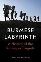   The Burmese Labyrinth