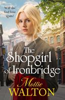   The Shopgirl of Ironbridge