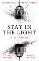   Stay in the Light