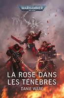   La Rose dans les T&eacute;n&egrave;bres