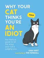   Why Your Cat Thinks You're an Idiot
