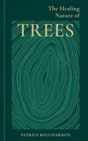   The Healing Nature of Trees