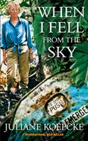   When I Fell From The Sky